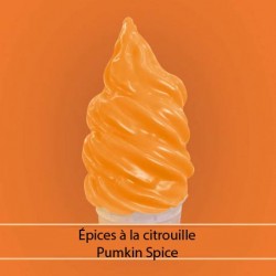 Épices à citrouille Pumpkin Spice